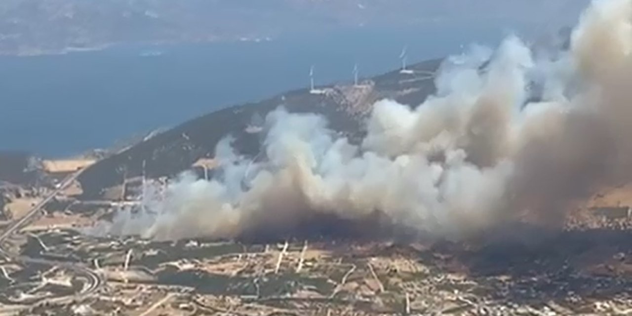 Didim’de makilik alanda yangın