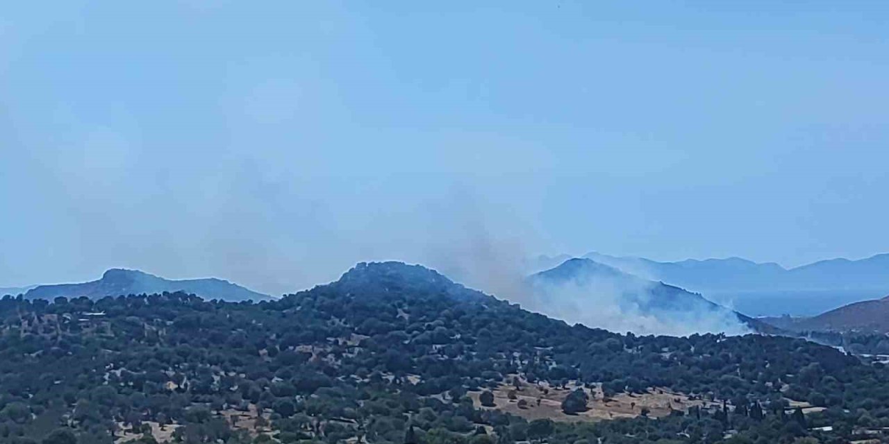 Bodrum’da makilik alanda yangın