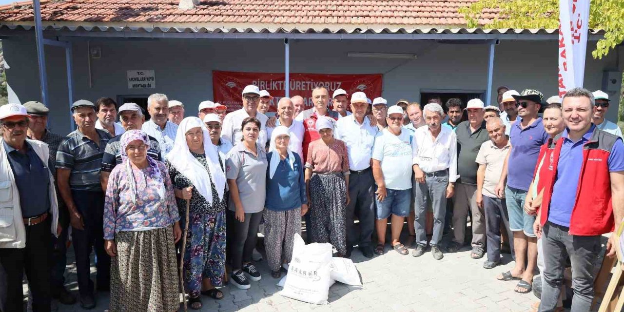 Muğla’da zeytin üreticilerine ücretsiz kaolin kili dağıtılıyor