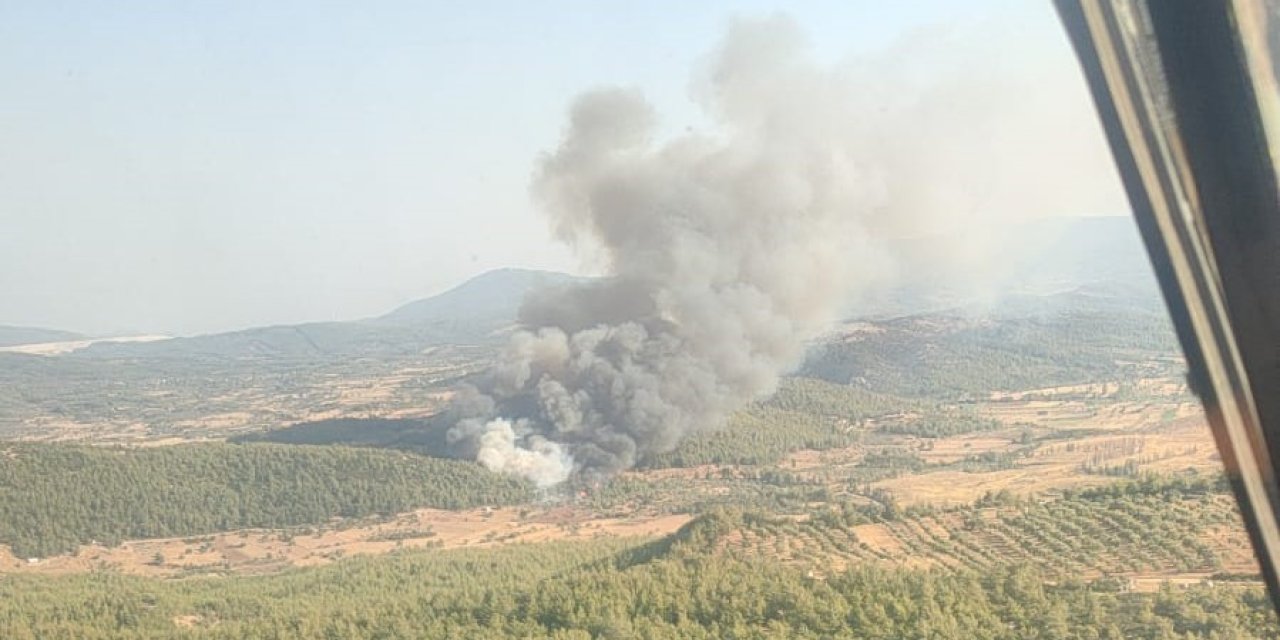 Milas’ta orman yangını