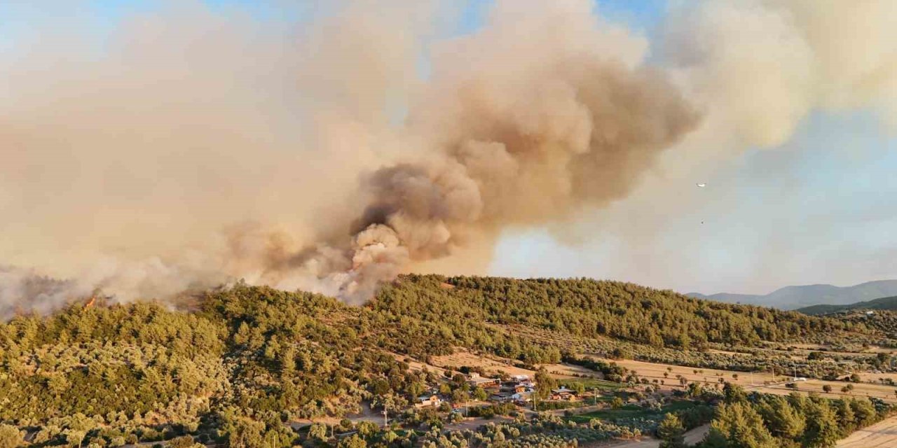 Milas’taki orman yangınına müdahale sürüyor