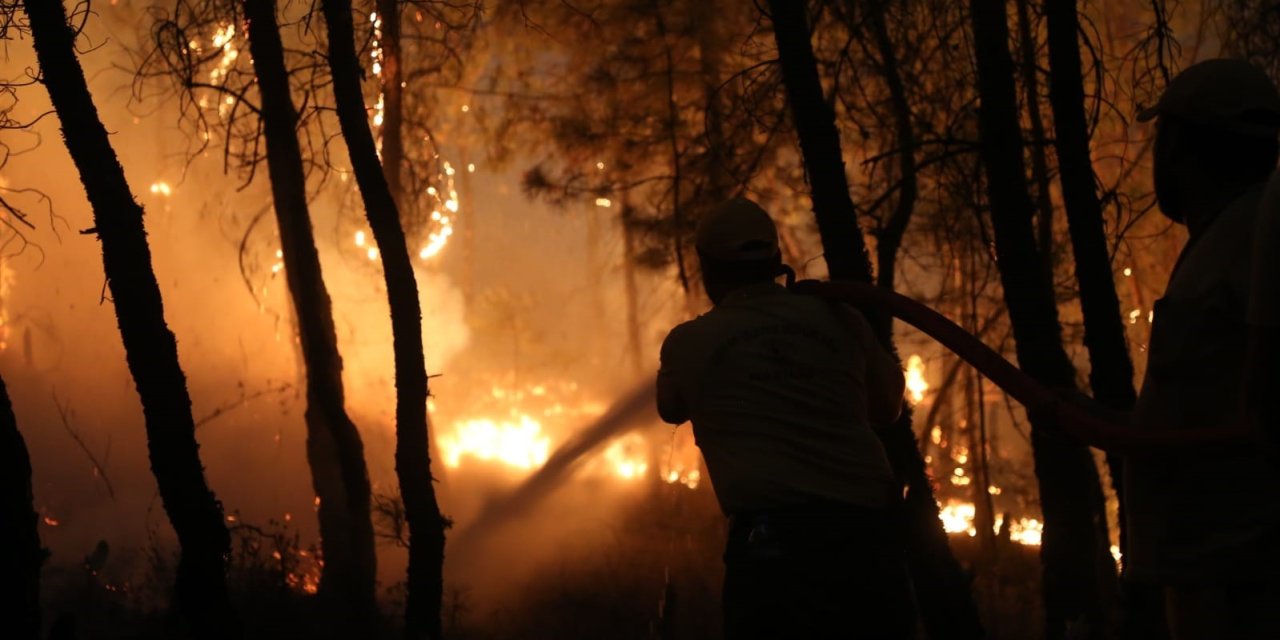 Bakan Yumaklı: "Bozdoğan’daki yangın büyük ölçüde kontrol altına alındı"
