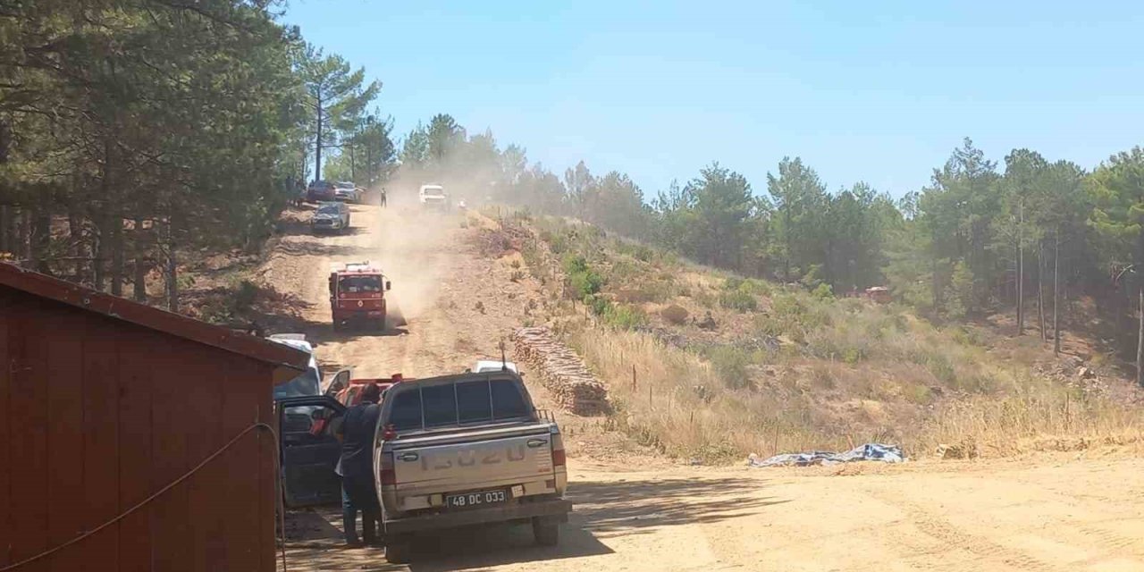 Menteşe’deki orman yangına ekiplerden hızlı müdahale