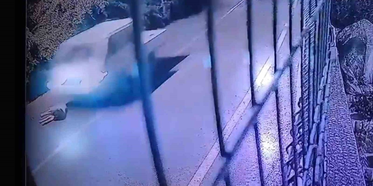 Köpeği ezip yoluna devam etti
