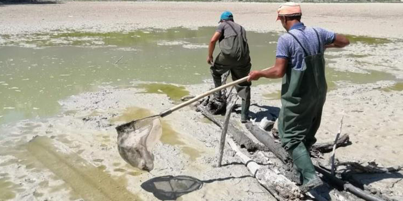 Kuruyan göldeki balıklar balçığın içerisinden kurtarıldı