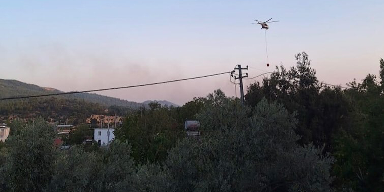 Çine’de orman yangını