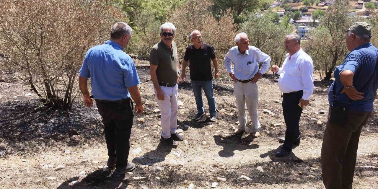Baştuğ, Yatağan’da yanan zeytinlik alanlarda incelemelerde bulundu