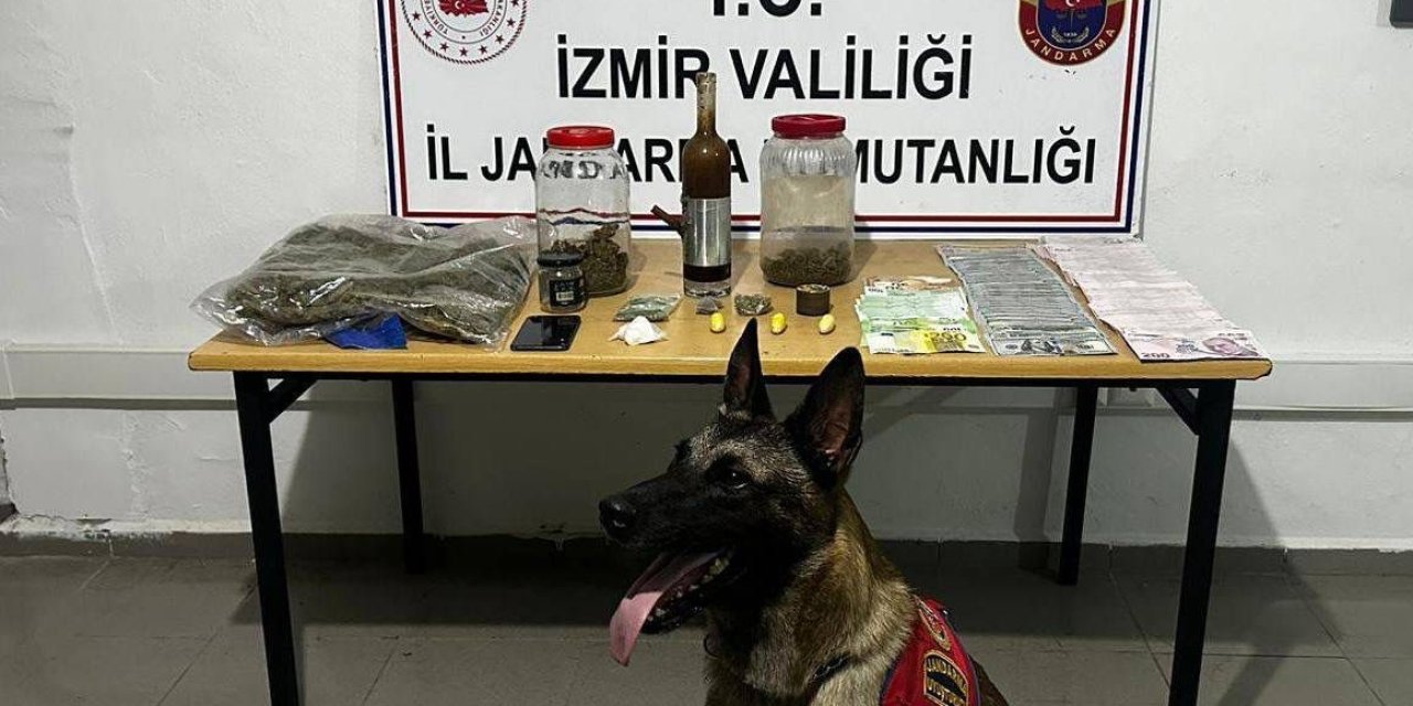 Çeşme’de jandarmadan zehir tacirine şafak operasyonu