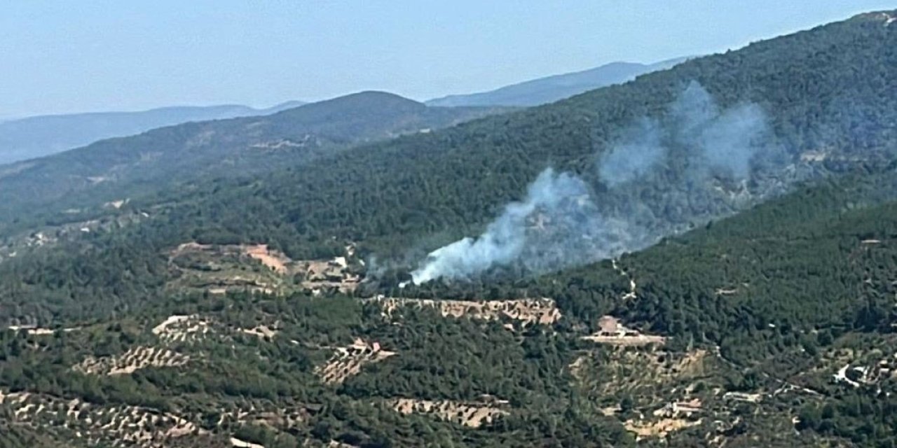 Kemalpaşa yangını kontrol altında