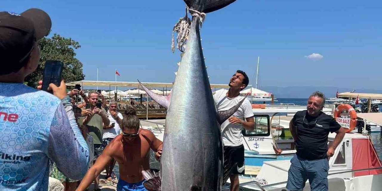 370 kiloluk orkinos yakalandı