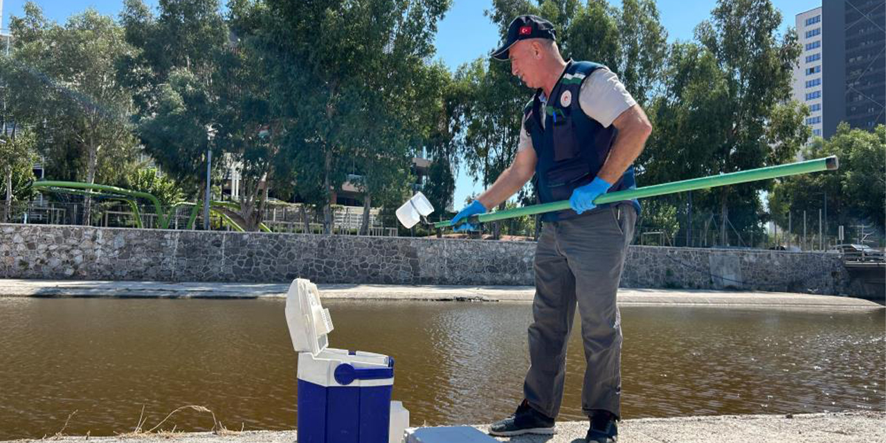 Bakanlık, İzmir Körfezi’ndeki balık ölümleri için bölgeden numune aldı