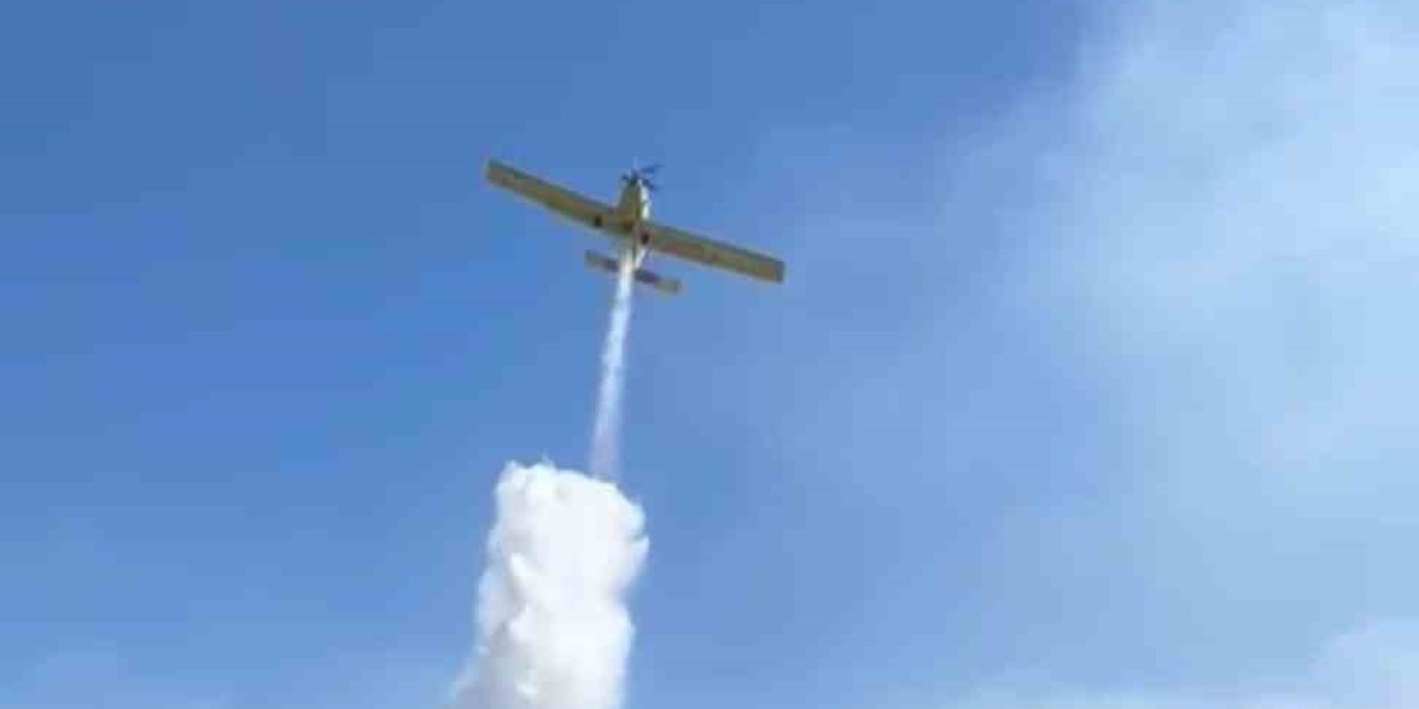 Bergama’daki orman yangını kontrol altında