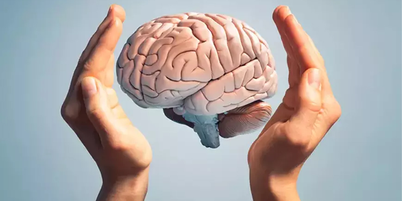 Sağlıklı beyin için 10 süper gıda