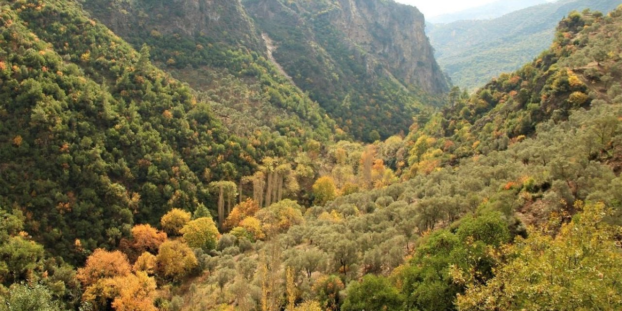 Aydın’ın doğa harikası Koçak Kanyonu, özgün klimasıyla ilgi odağı olmaya devam ediyor