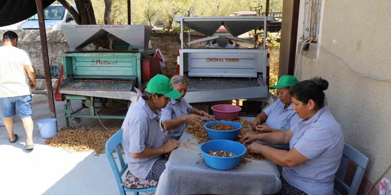 Muğla’nın tarımsal ürünleri dünyaya açılıyor