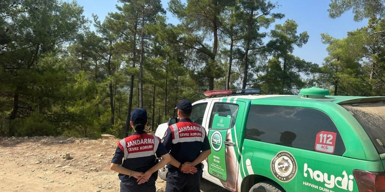 Kuşadası’nda yasaklara uymayanlar cezadan kaçamadı
