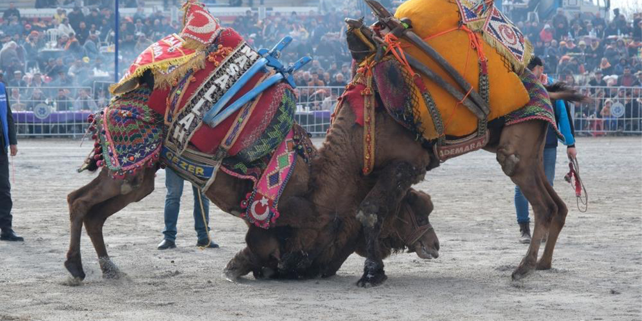 Sezonun ilk güreşi Işıklı’da yapılacak