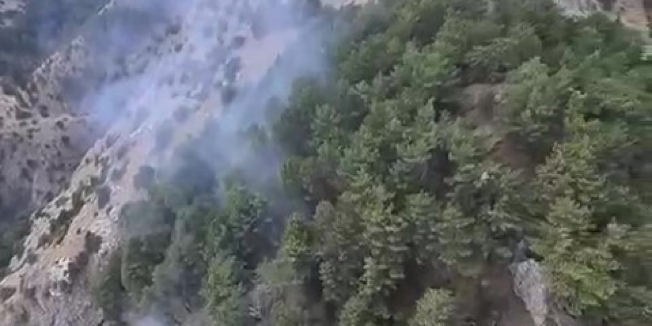 Zirvede başlayan yangın hava müdahalesiyle söndürüldü
