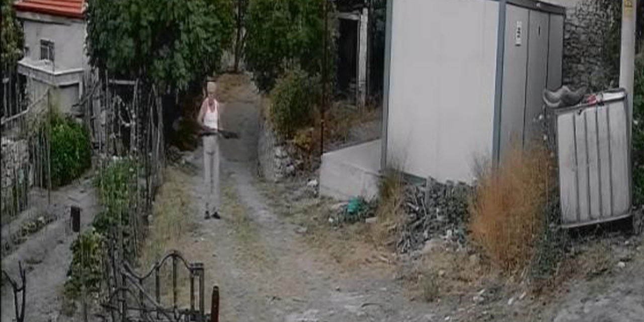 Sürü sahibini ıskalayınca araya giren çobanı öldürdü