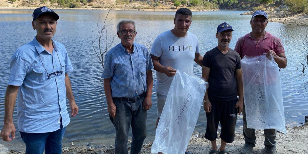 Gözkayası Göleti’ne sazan yavruları bırakıldı