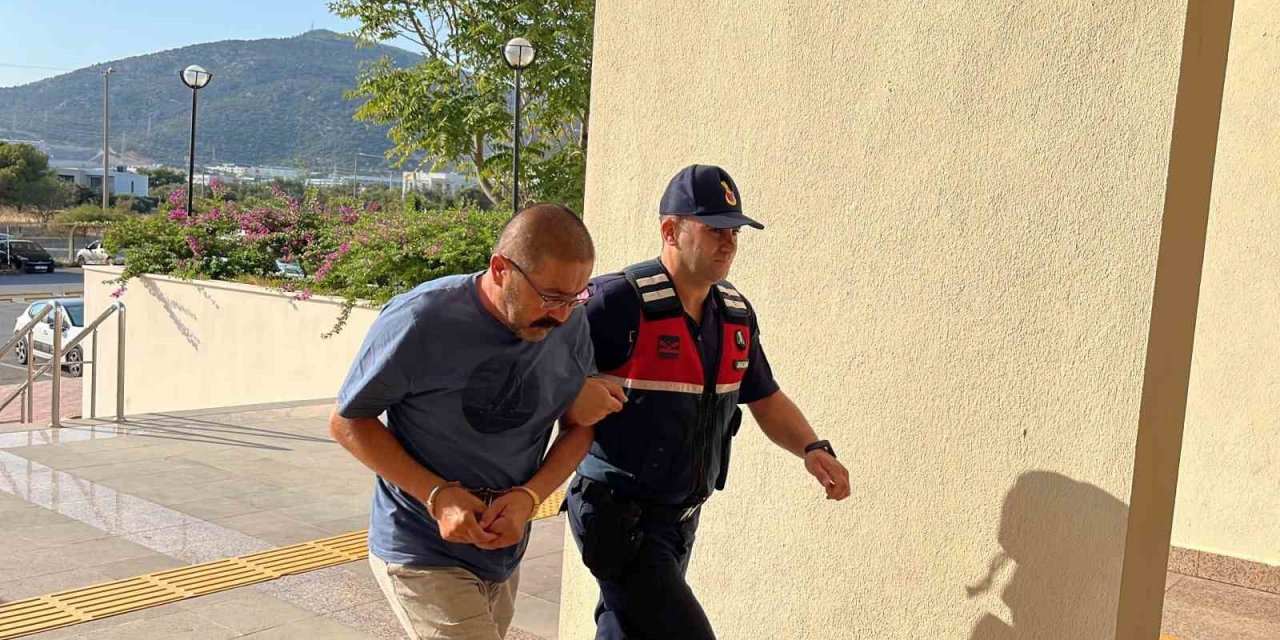 Bodrum’da köpeğin tüfekle vurulduğu iddiası