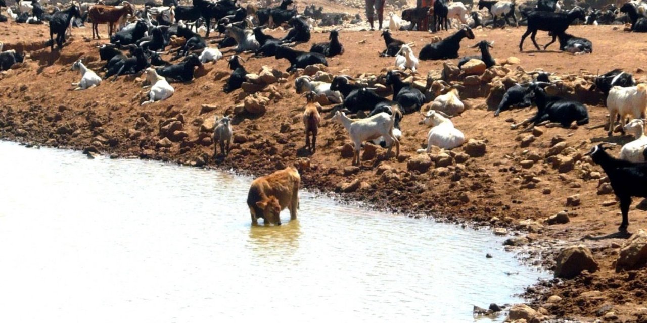 Turizm kenti Marmaris’teki asırlık su hikayesinde mutlu sona yaklaşıldı