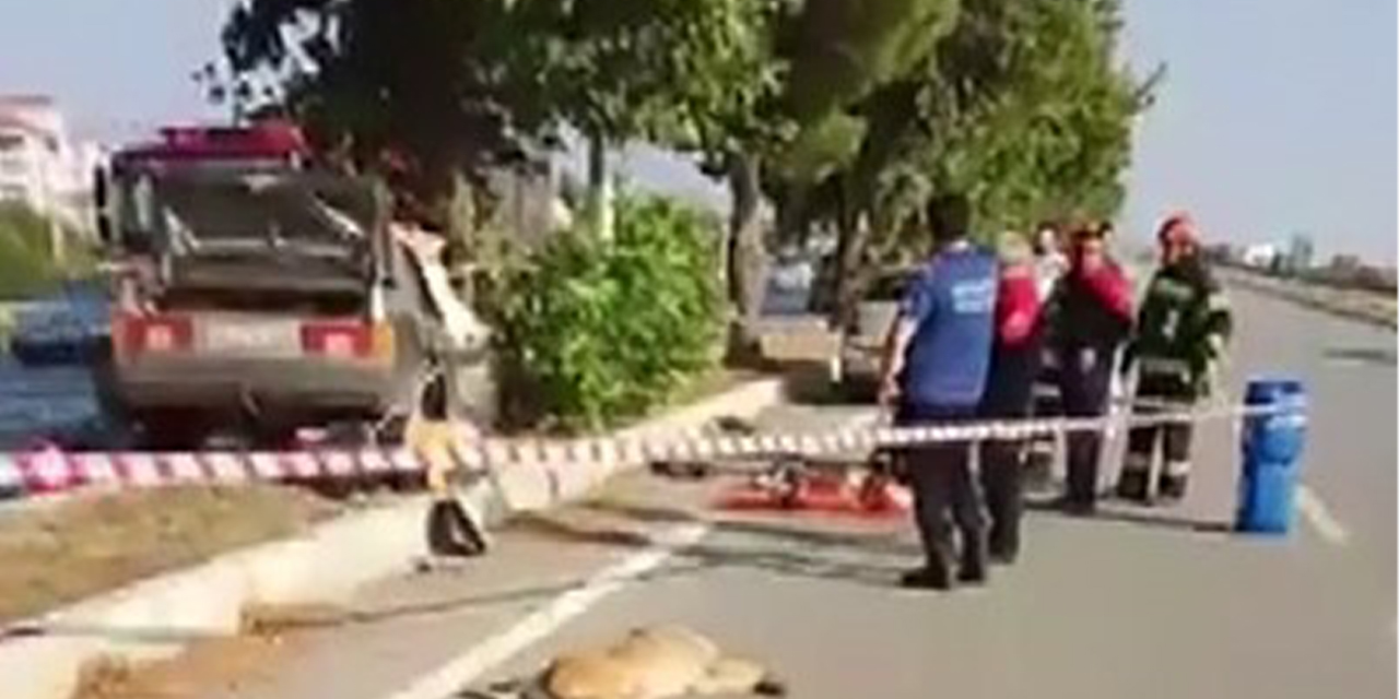 Köpeğin neden olduğu ölümlü kazanın detayları belli oldu