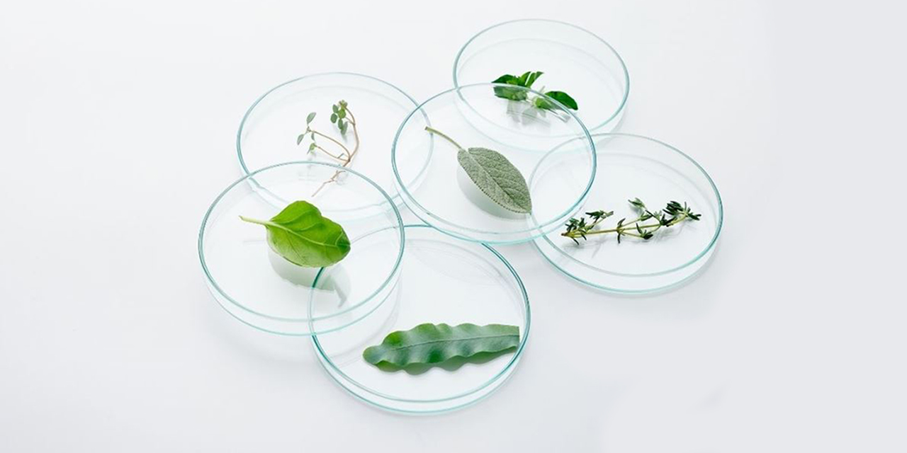 Sürdürülebilirlik nedir ve neden hayatımız için bu kadar önemlidir?