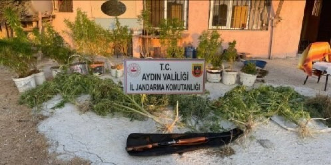 Jandarmadan uyuşturucu baskını: 1 tutuklama