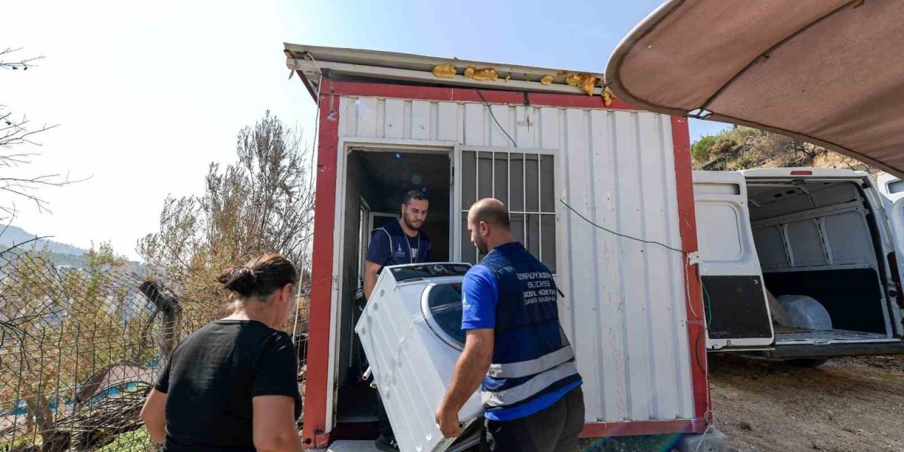 Yangınların ardından İzmir’in yaraları sarılıyor