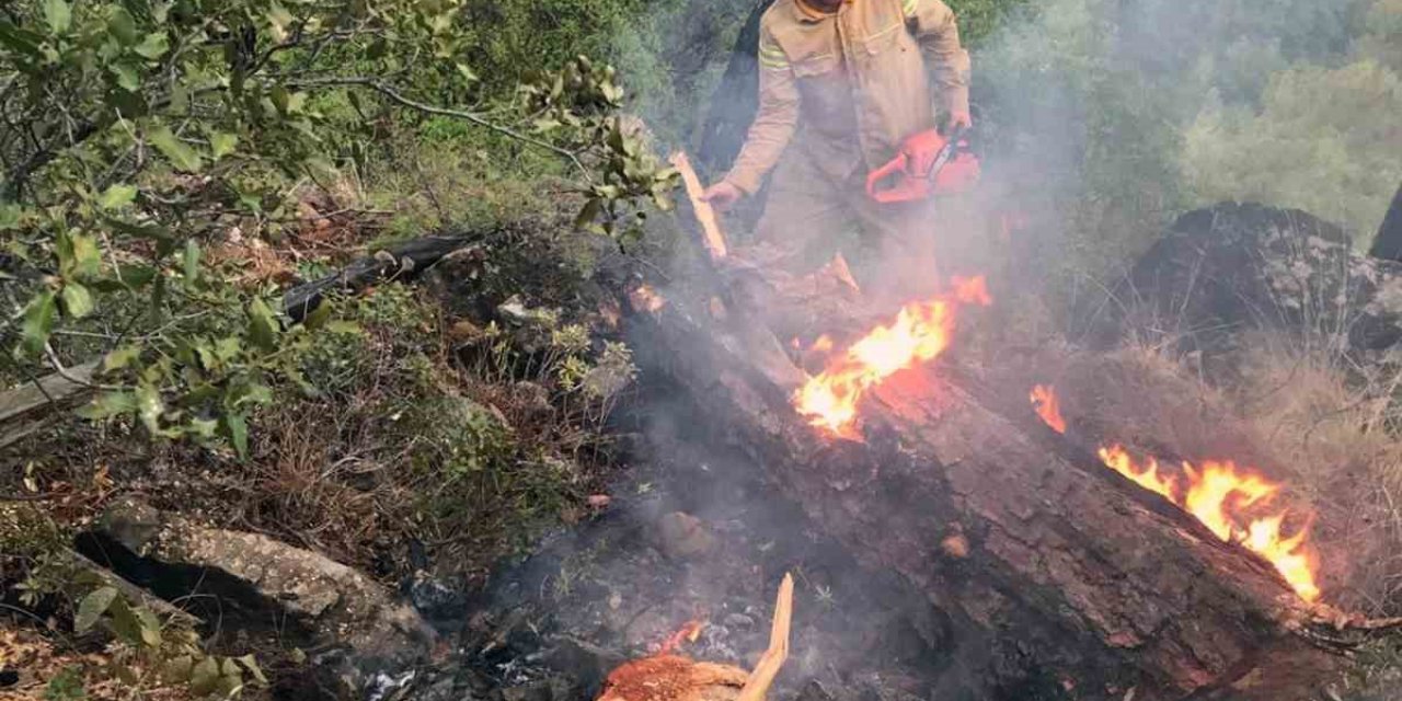 Muğla’da 5 günde 50 yıldırım yangını