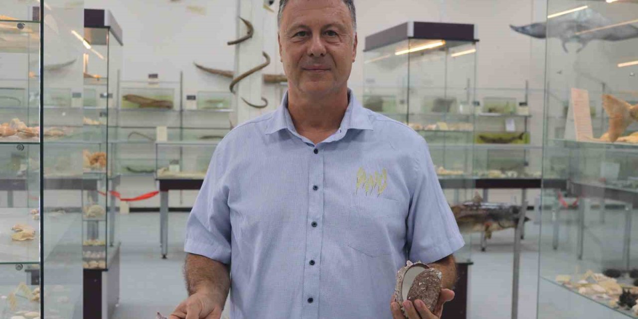 Körfezin temizliği için ‘istiridye’ önerisi