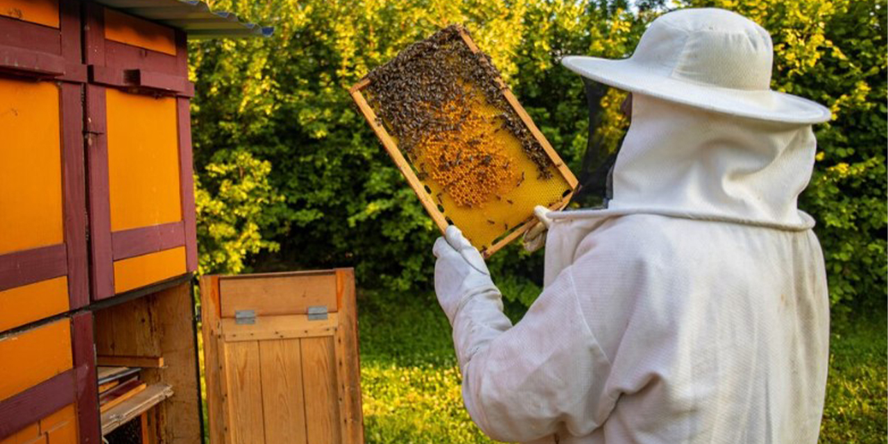 Arıcılık malzemelerinin kaliteli ve güvenilir adresi