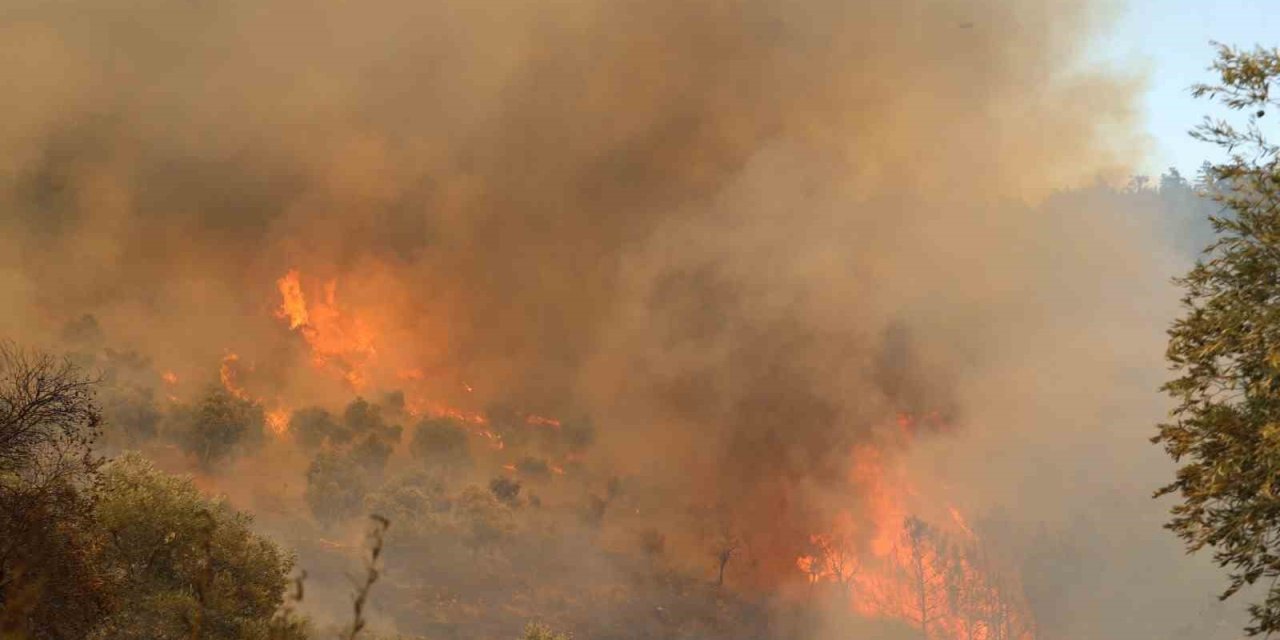 Muğla’daki yangın yolu kapattı