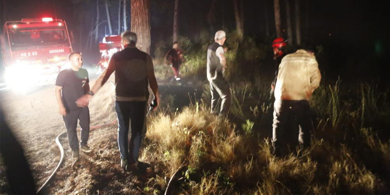 Yangın gece boyu devam etti, Orman Genel Müdürü, Vali Akbıyık ile geceyi sahada geçirdi