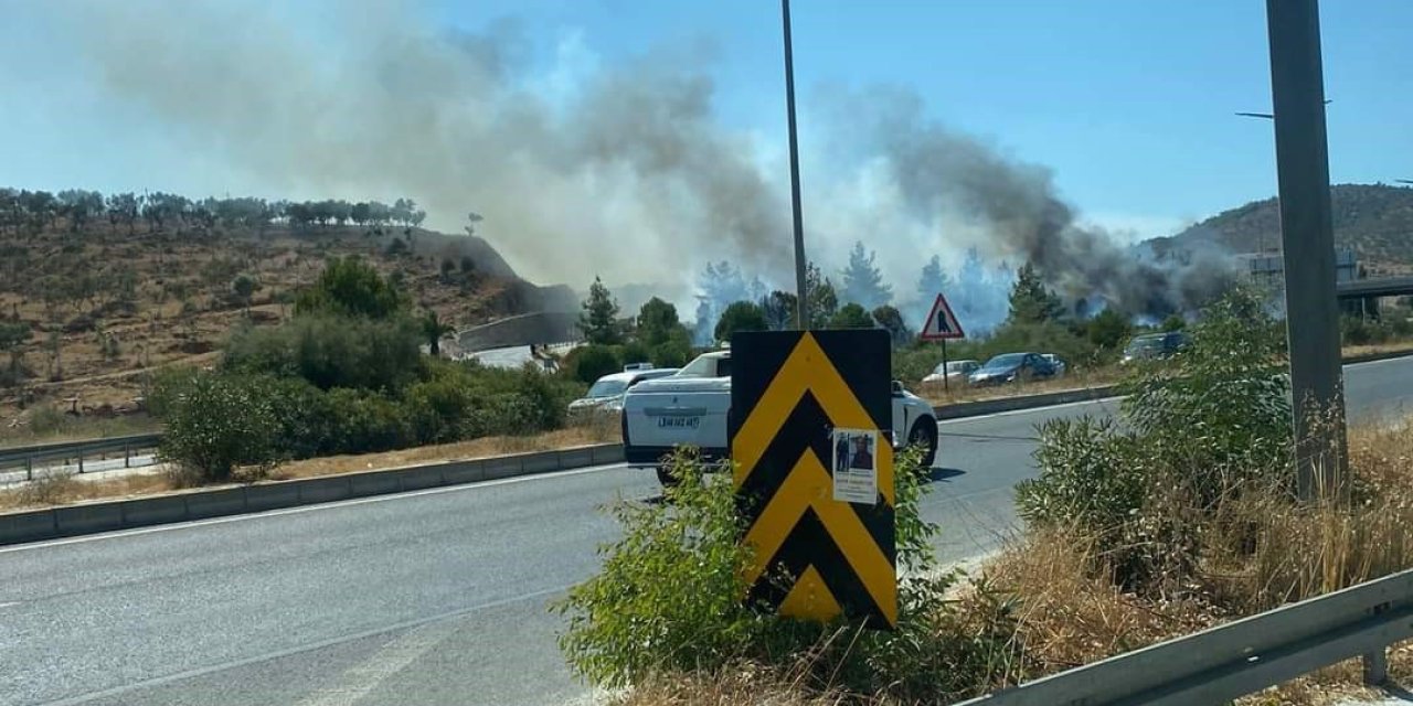 Milas’ta orman yangını