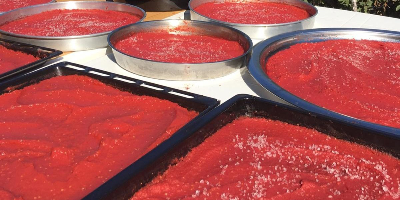 Evde sağlıklı salça yapmak için bu kurallara uyun