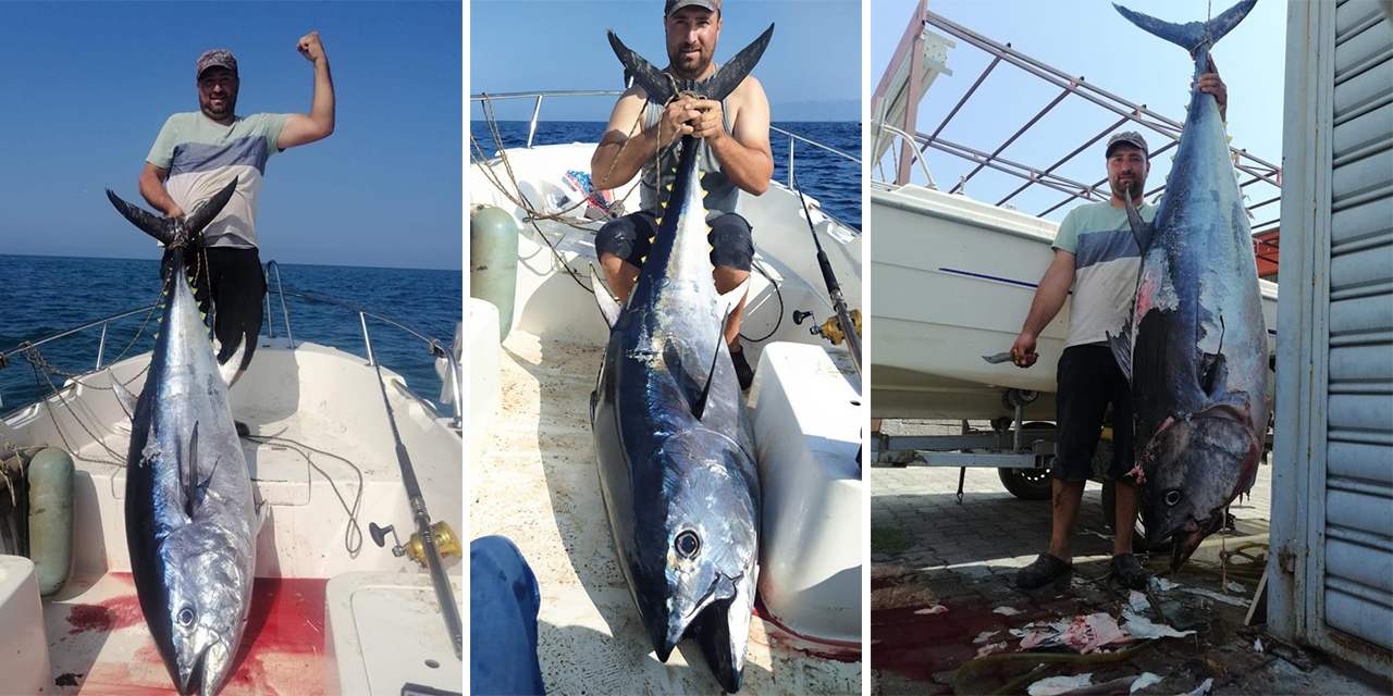 Söke’de amatör balıkçının yakaladığı dev mavi yüzgeçli orkinos kayıt altına alındı