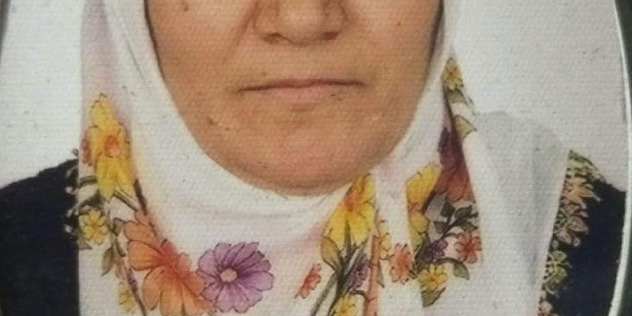 Yolun karşısına geçmek isteyen kadına hafif ticari araç çarptı: 1 ölü