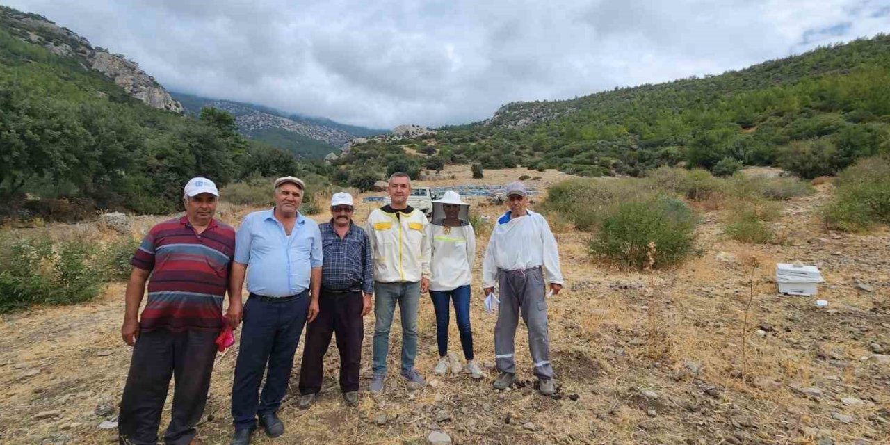 Söke’de arıcılık desteklemeleri için kovan tespit çalışmaları devam ediyor