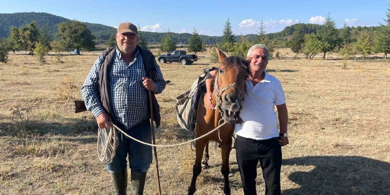 Yabani ağaçlarda yapılan aşılama meyve verimini artırdı