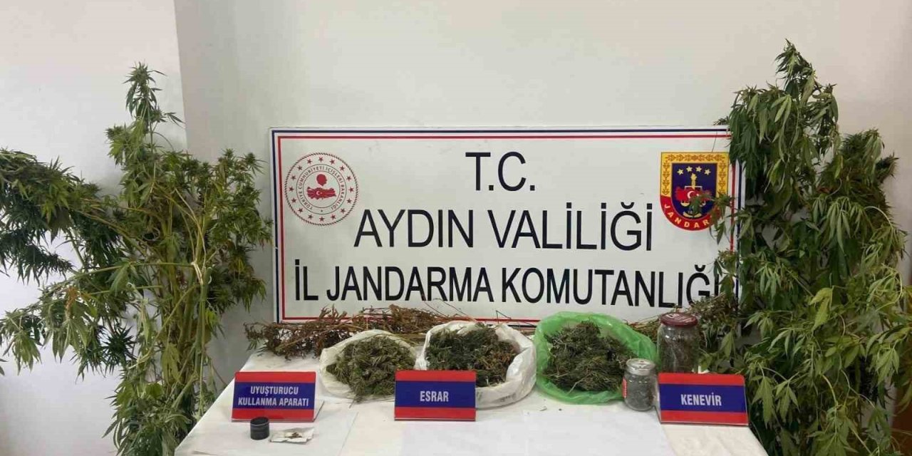 Mısır tarlasına uyuşturucu ekti, jandarmadan kaçamadı
