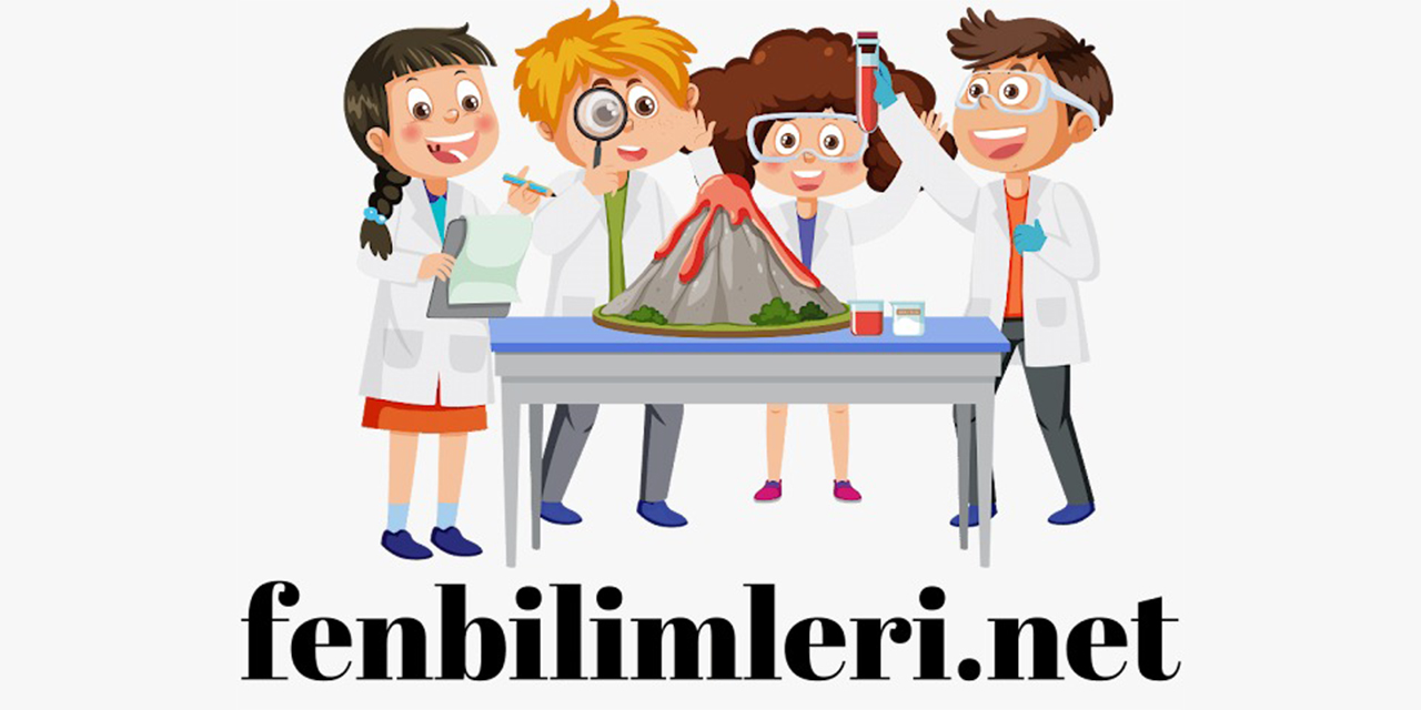 Fen Bilimleri ile geleceği keşfedin: FenBilimleri.net ile eğitimin yeni adresi