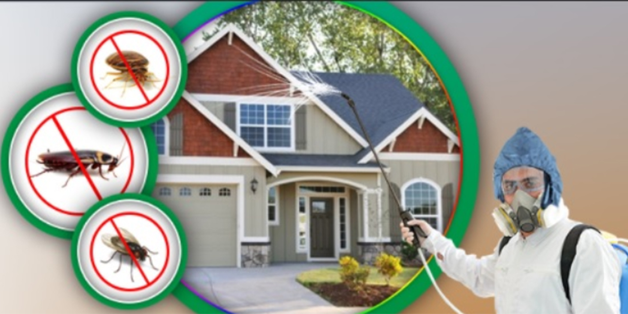 İstanbul Böcek İlaçlama Şirketi: Etkili ve Profesyonel Haşere Kontrol Hizmetleri