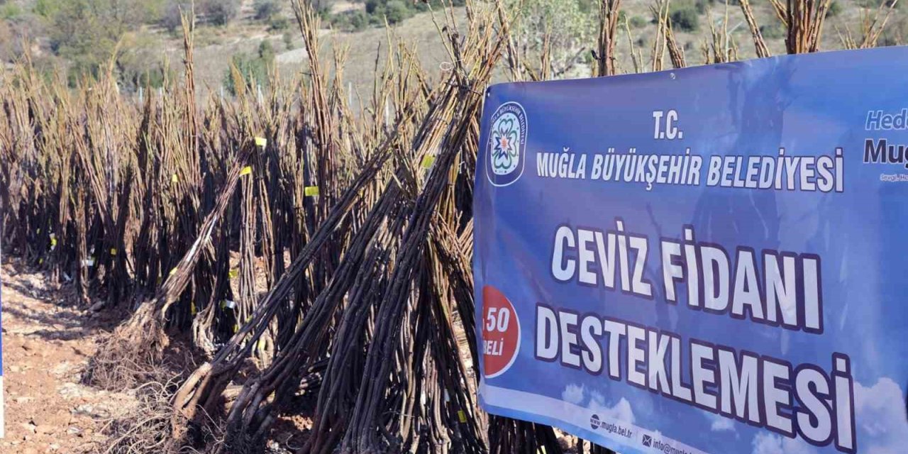 Muğla Büyükşehirden ‘Her Kapıda Bir Fidan’ projesi