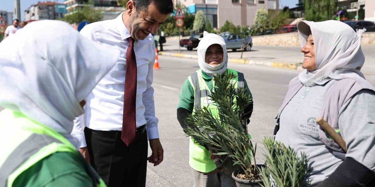 Denizli’de susuzluğa dayanıklı yeşil bitki dönemi başlıyor