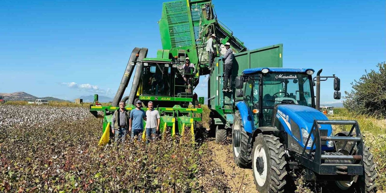 Koçarlı’da pamuk hasadı başladı