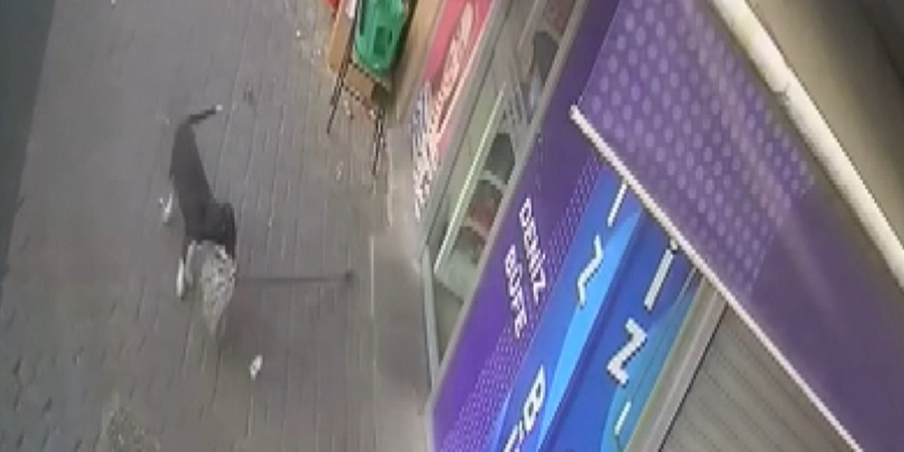 Beslediği köpek hırsız çıktı