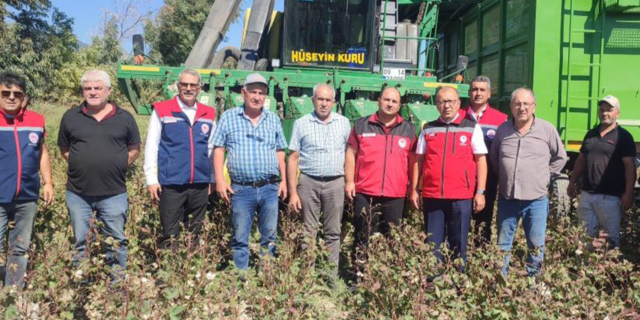 AB tescilli Söke Pamuğu hasadı sürüyor