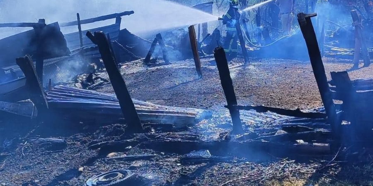Ahırda çıkan yangında 85 küçükbaş hayvan telef oldu